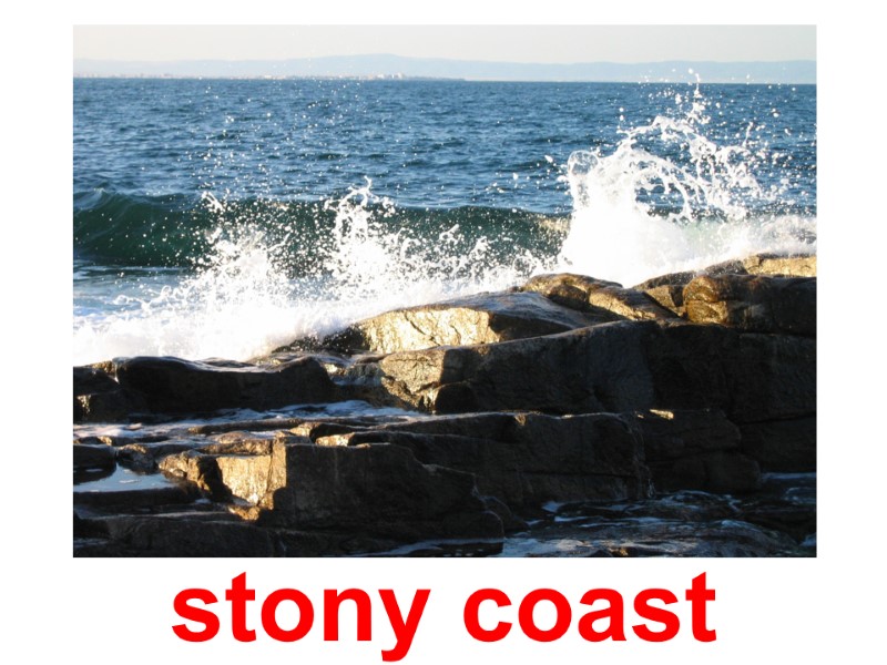 stony coast